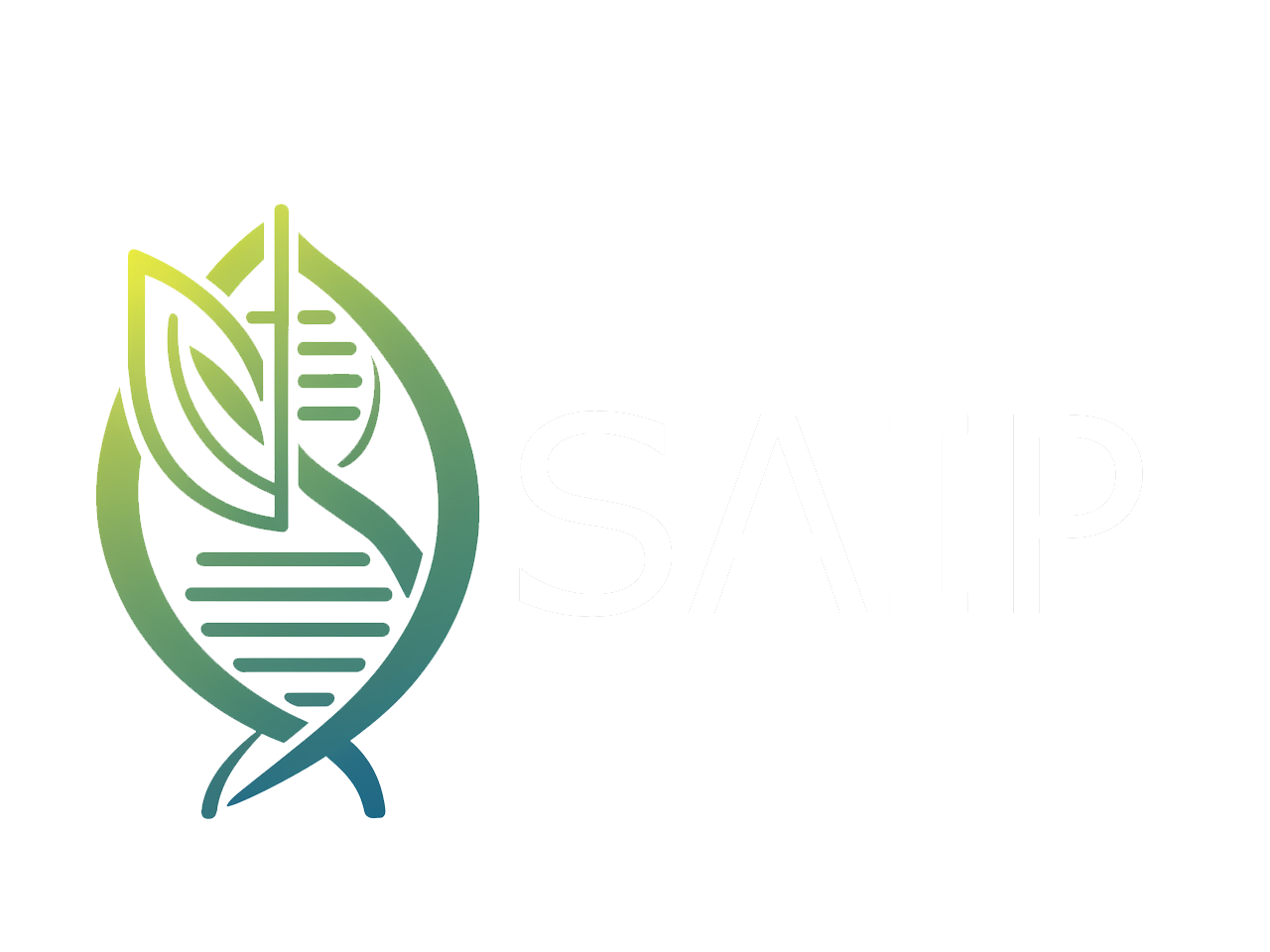 SAIP Precinct logo